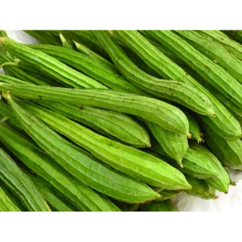 Cucumber  (36)-2303135-57631.webp
